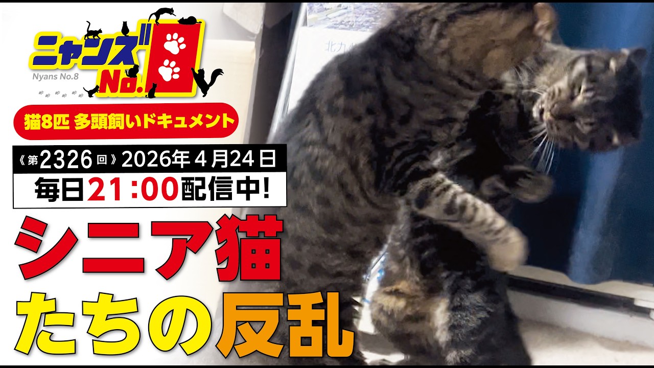 Episode 2326: The Rebellion of Senior Cats - YouTube
