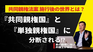 【弁護士が予想】共同親権法案の施行後の世界とは？『単独親権国』と『共同親権国』に分断されるおそれ