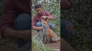 Freedom Matters 🦊 #AnimalRescue #Cinematic #Kindness #USA #FYP