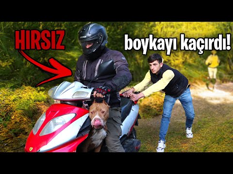 BOYKAYI KAÇIRAN MOTORCUYU YAKALADIK! (ortalık karıştı)