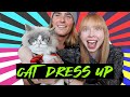 Dressing Up Our Cats *$200 AMAZON HAUL*