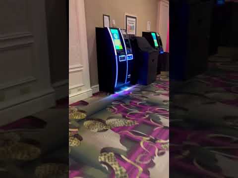 Gold Rush | FG | DoubleU Casino