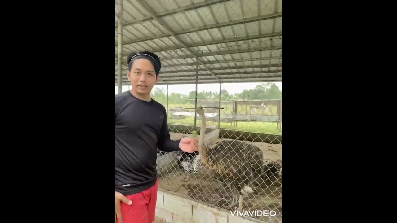 Adventure: Villa Filomena Resort