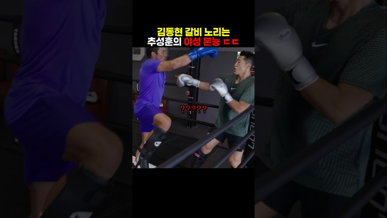 김동현 갈비 노리는 추성훈의 야성 본능