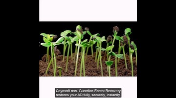Guardian Forest Recovery