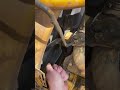 GovDeals: Tractor Loader - John Deere 401D
