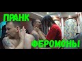 ФЕРОМОНЫ ПРАНК | РЕАКЦИЯ ДЕВУШКИ НА ФЕРОМОНЫ