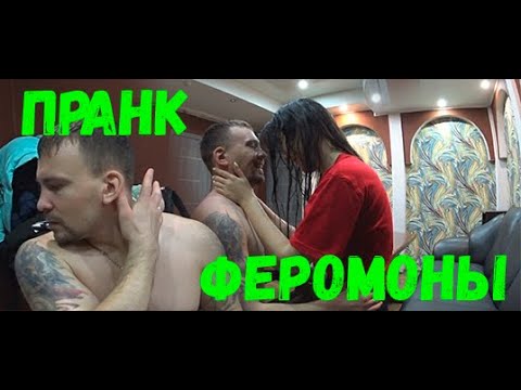 Video: Феливей: мышыктар үчүн феромон, каражат колдонулганда, каршы көрсөтмөлөрү жана терс таасирлери, сын-пикирлер, баасы