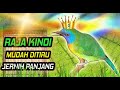 Masteran Burung Kinoi Jernih Gacor Paling Ampuh