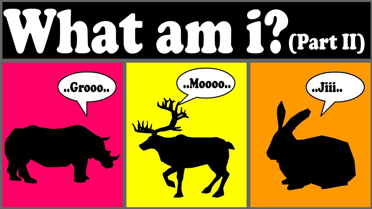 Animal Riddles part 2 - YouTube