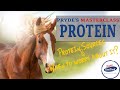 When do you need quality protein in your horse feed