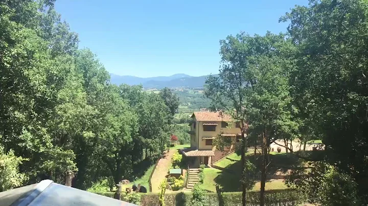 Bird in Umbria