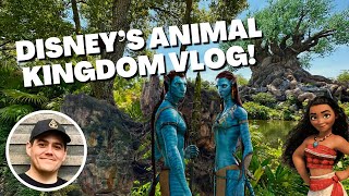 My Favorite Disney Park! | Disney’s Animal Kingdom Park Vlog