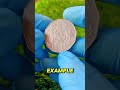 Rare 1969 Australian 50 Cent Coin Worth $6 Million?