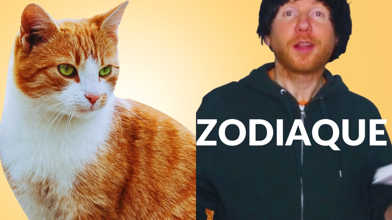 GINGERTIFY: Learning By Doing: French "ZODIAQUE"