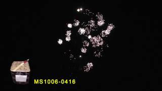 MS1006 0416