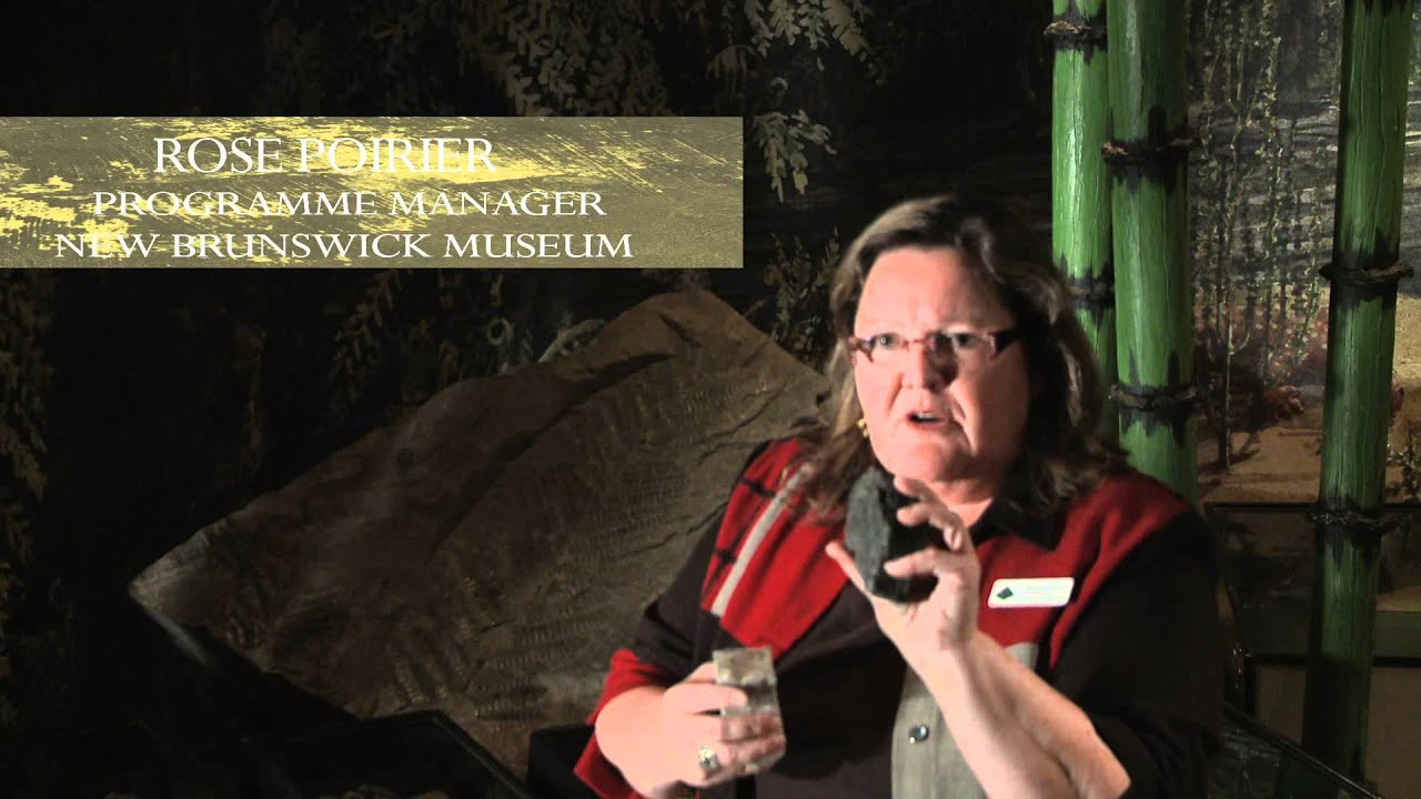 Stonehammer Geopark: New Brunswick Museum
