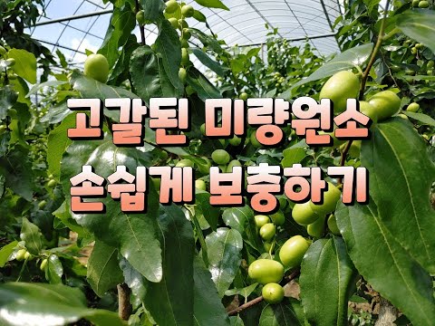 고갈된 토양 속 미량 원소 보충 방법