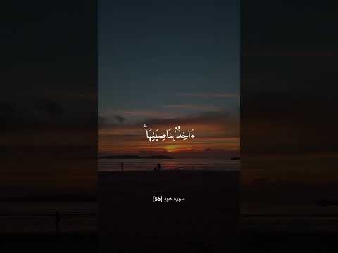 سورة هود الآية 56 القارئ سعد الغامدي القرآن الكريم راحة نفسية اكسبلور Explore Duet تصميمي 