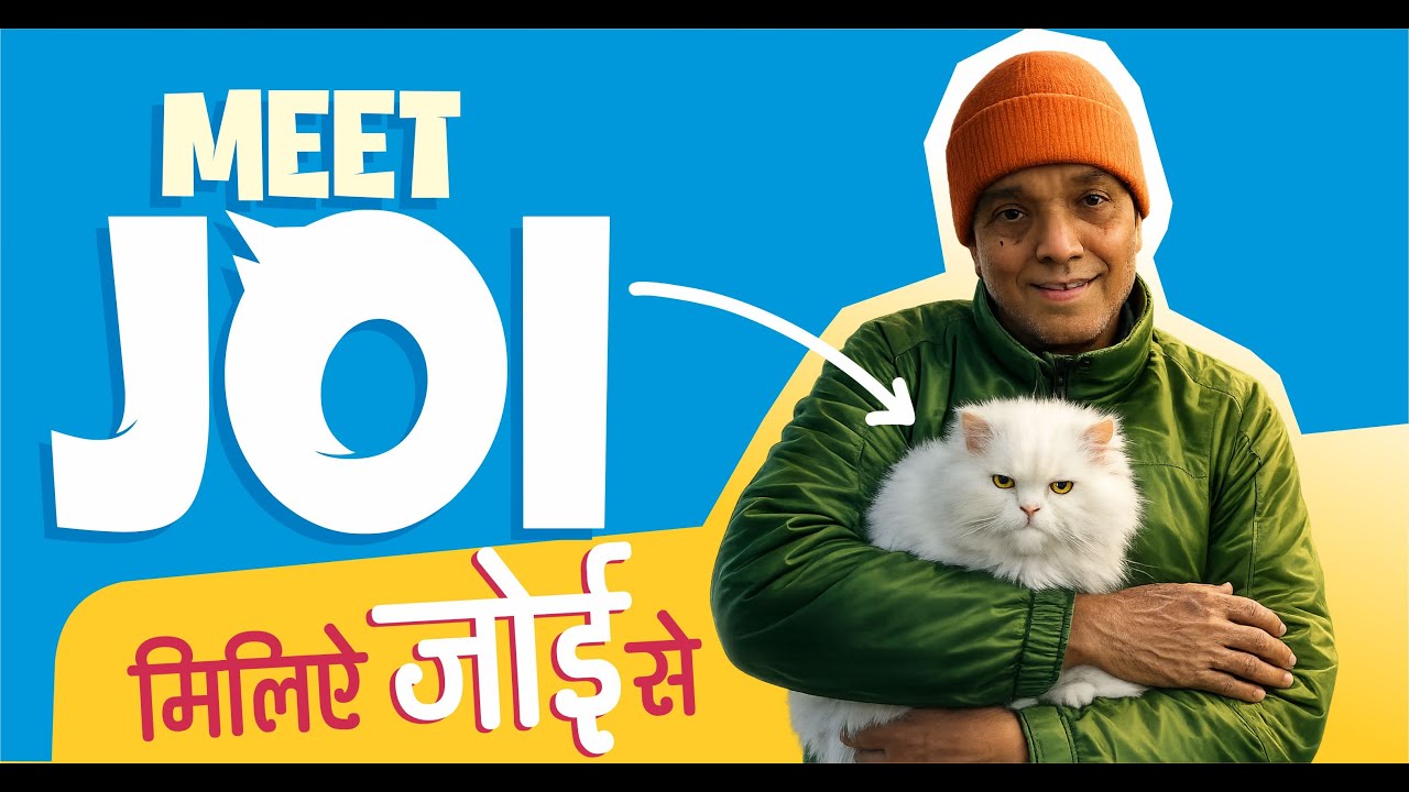 Meet JOI - the lovable, adorable, Cute Cat