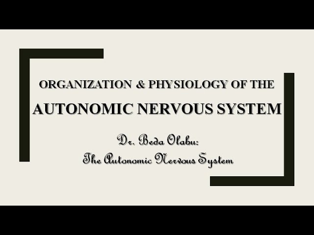 ORGANIZATION & PHYSIOLOGY OF THE AUTONOMIC NERVOUS SYSTEM
