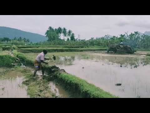 kadavul eannum mudhalai mgr song whatsapp status and village