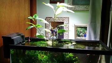 Correlated Color Temperature (CCT) And Color Rendering Index (CRI) Mean Very Different Things