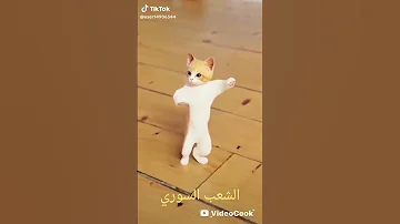 لبت لبت 