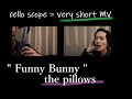 【チェリストが歌うJ-Rock】「Funny Bunny」the pillows 蒼井大地