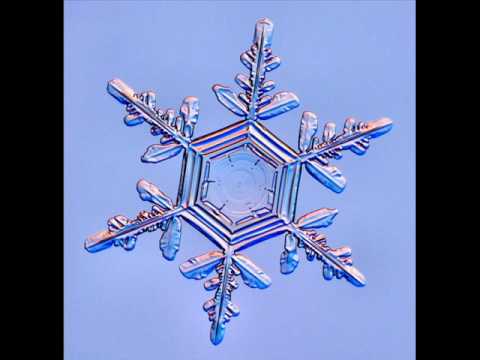 Real Snowflake Real Snowflake