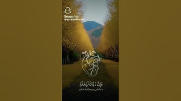 #اكسبلور  #لايك #قران_كريم #الشيخ #تلاوة_هادئة