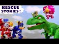 Toy Paw Patrol RESCUE Stories