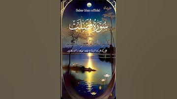 The Beauty of Surah Fussilat: Heart-Touching Reflections,Quran سورة فصلت |