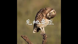 201410 见地要正32109