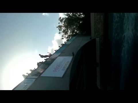 نطة من كوبرى فى مارينا