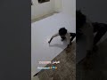 كيف!؟ تحول هذا المنزل إلى تحفة فنية!!؟ 💙