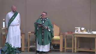 Fiftg Sunday of Ordinary Time (2/7/26)