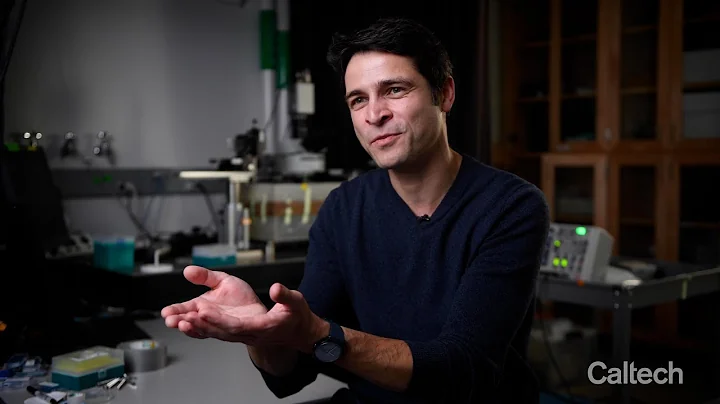 Using Ultrasound to Move Cells and Build Tissue