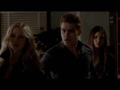 Stefan Protects Elena From Tyler | Tvd Stelena Season 4 Episode 10