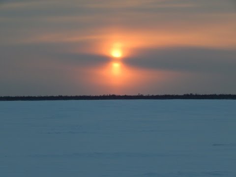 Налим,отчёт за 11 января(отлично)