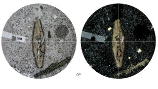 Virtual Microscope: Οξυκεροστίλβη, Σανίδινο / Oxyhornblende, Sanidine