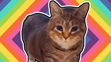 Thumbnail of OOOAAAIII