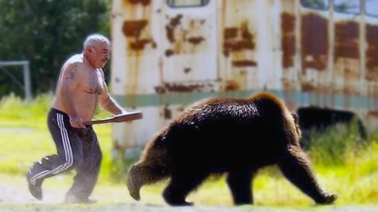 15 Most Amazing Animal Encounters In The World - YouTube