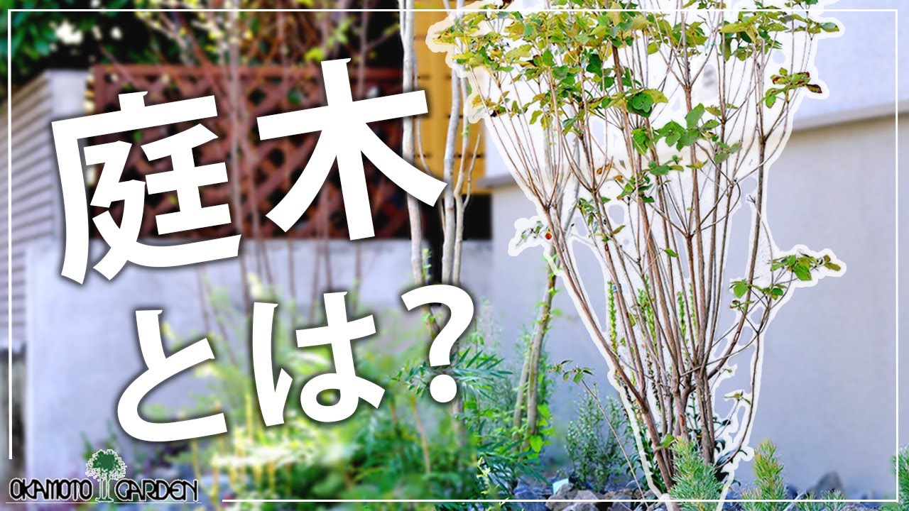 庭木入門!庭木ってそもそもどんなもの?種類や選び方など詳しく解説! - YouTube