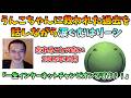 うんこちゃんに救われた過去を話し涙ぐむはりーシ【切り抜き】