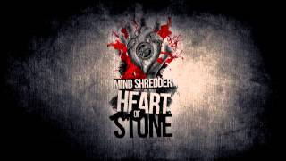 De/Vision - Heart Of Stone (Cover by MIND:|:SHREDDER)