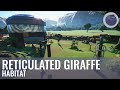 Reticulated Giraffe Habitat | Malu Zoo | Speed Build | Planet Zoo | Ep. 12