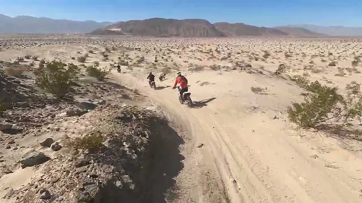 Ocotillo 12 22