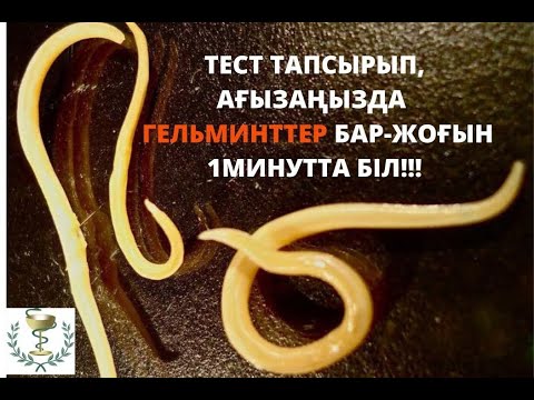 Бейне: Мысықта құрт бар-жоғын қалай білуге болады