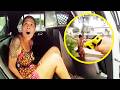 She Could've Gotten a SIMPLE Ticket, Chose 4 Charges Instead